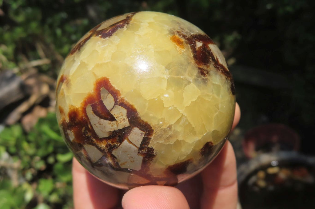 Polished Septerye Spheres x 4 From Madagascar - Toprock Gemstones and Minerals 