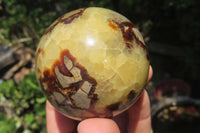 Polished Septerye Spheres x 4 From Madagascar