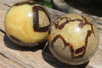 Polished Septerye Spheres x 4 From Madagascar