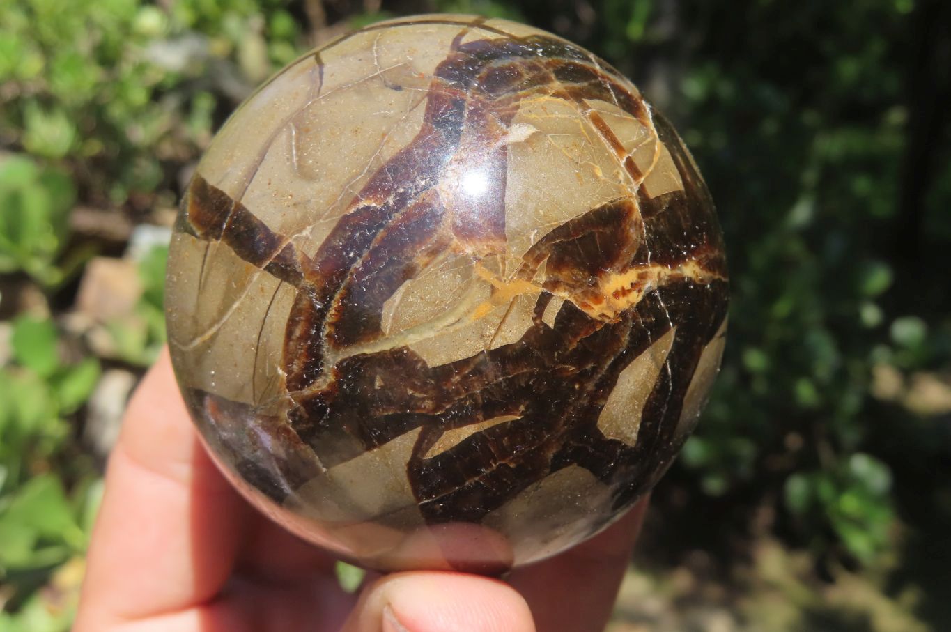 Polished Septerye Spheres x 4 From Madagascar - Toprock Gemstones and Minerals 