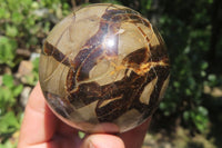 Polished Septerye Spheres x 4 From Madagascar
