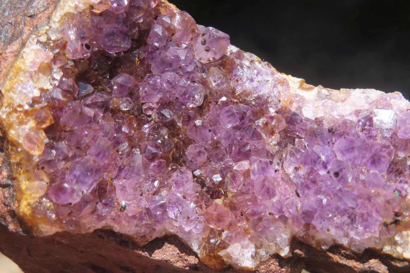 Natural Zululand Amethyst Geodes x 4 from Jozini, South Africa - Toprock Gemstones and Minerals 