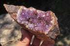 Natural Zululand Amethyst Geodes x 4 from Jozini, South Africa - Toprock Gemstones and Minerals 