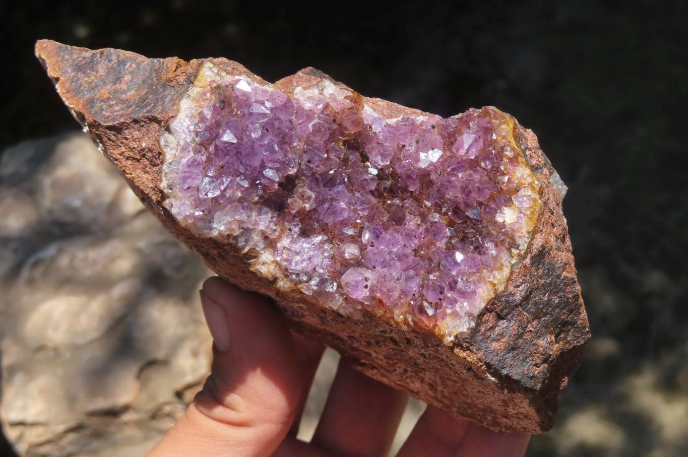 Natural Zululand Amethyst Geodes x 4 from Jozini, South Africa - Toprock Gemstones and Minerals 