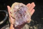 Natural Zululand Amethyst Geodes x 4 from Jozini, South Africa - Toprock Gemstones and Minerals 