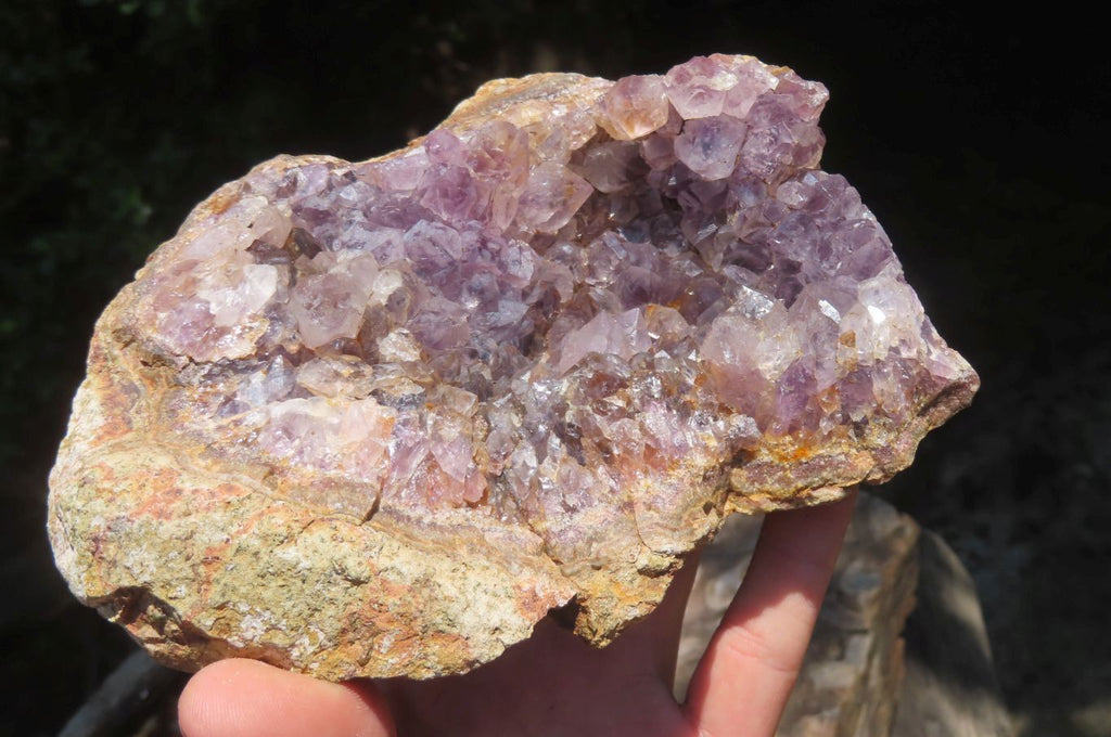 Natural Zululand Amethyst Geodes x 4 from Jozini, South Africa - Toprock Gemstones and Minerals 