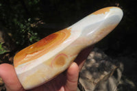 Polished Polychrome Jasper Standing Free Forms x 5 From Madagascar - Toprock Gemstones and Minerals 