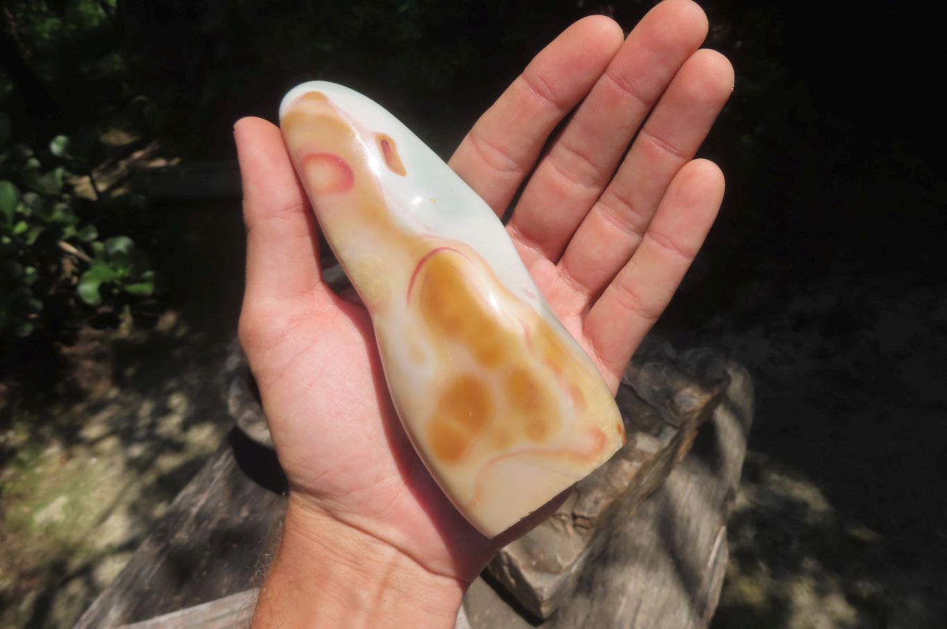 Polished Polychrome Jasper Standing Free Forms x 5 From Madagascar - Toprock Gemstones and Minerals 