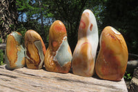 Polished Polychrome Jasper Standing Free Forms x 5 From Madagascar - Toprock Gemstones and Minerals 