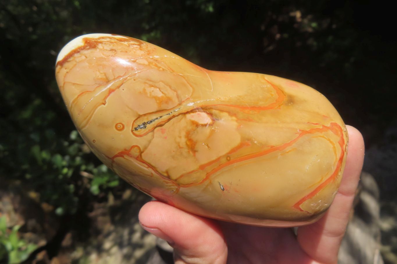 Polished Polychrome Jasper Standing Free Forms x 5 From Madagascar - Toprock Gemstones and Minerals 