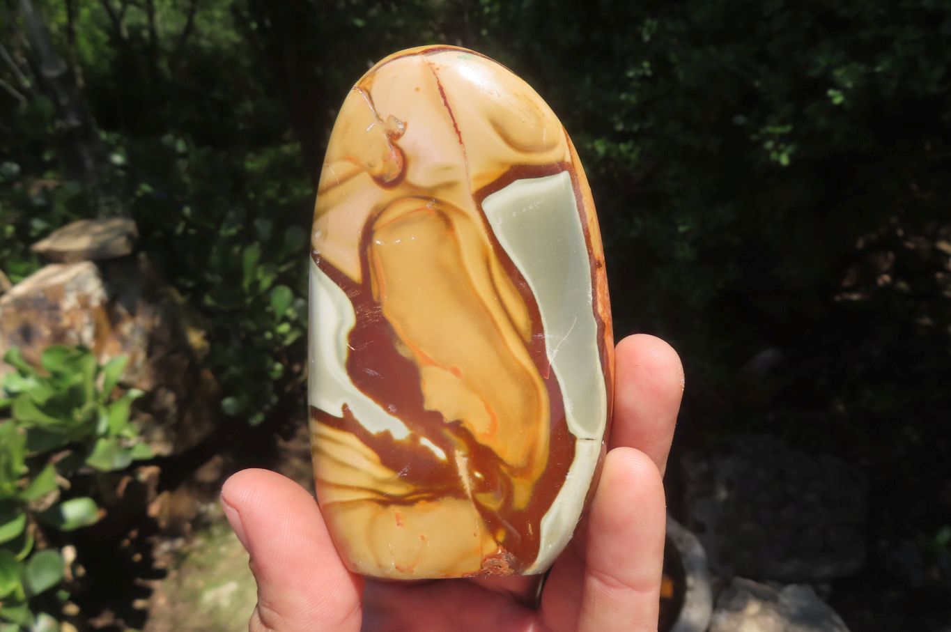 Polished Polychrome Jasper Standing Free Forms x 5 From Madagascar - Toprock Gemstones and Minerals 