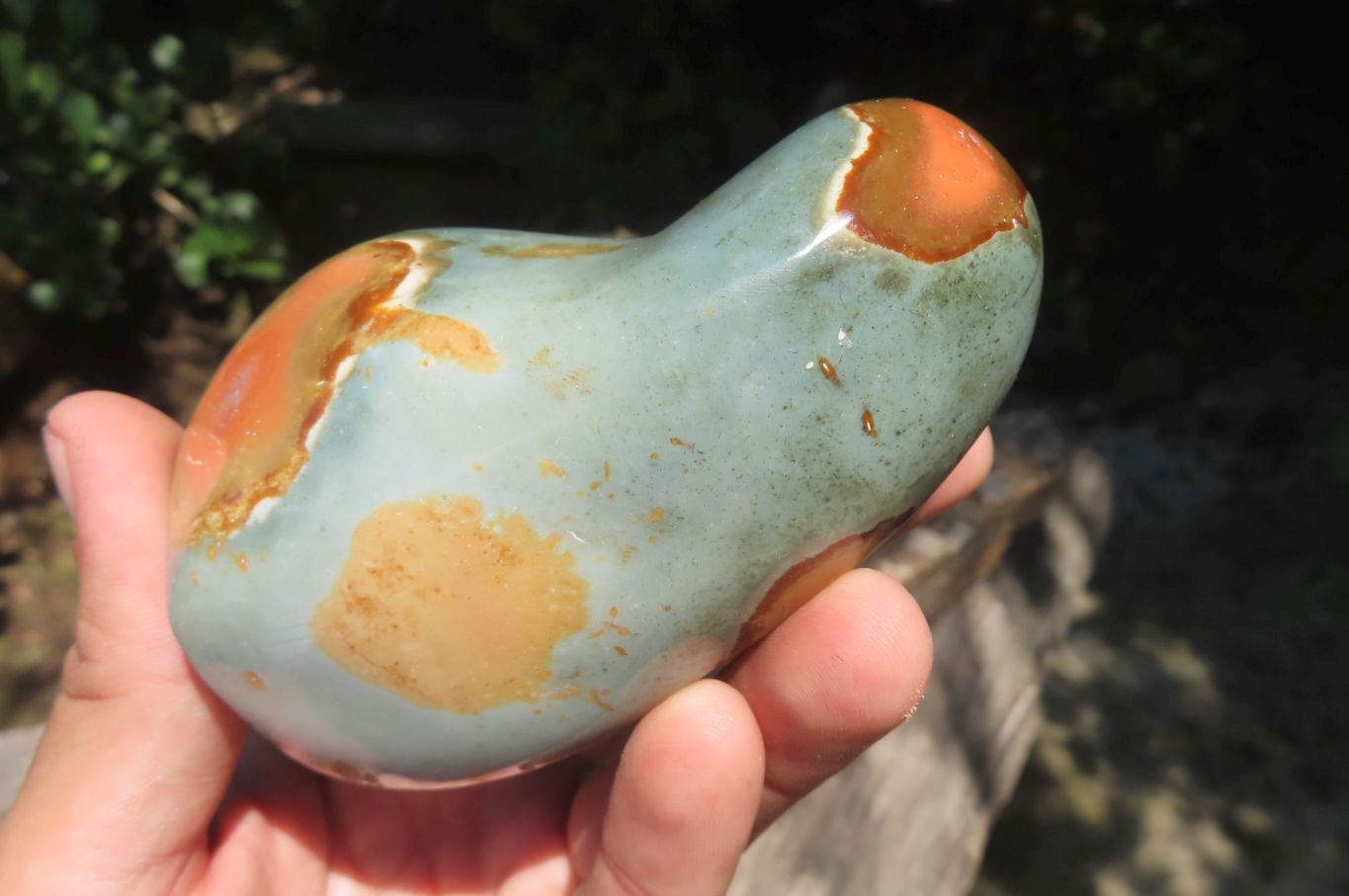 Polished Polychrome Jasper Standing Free Forms x 5 From Madagascar - Toprock Gemstones and Minerals 