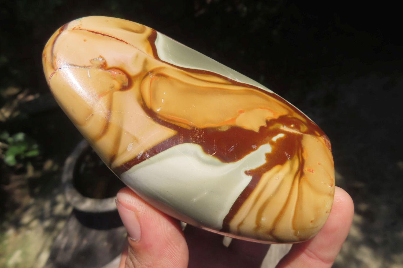 Polished Polychrome Jasper Standing Free Forms x 5 From Madagascar - Toprock Gemstones and Minerals 