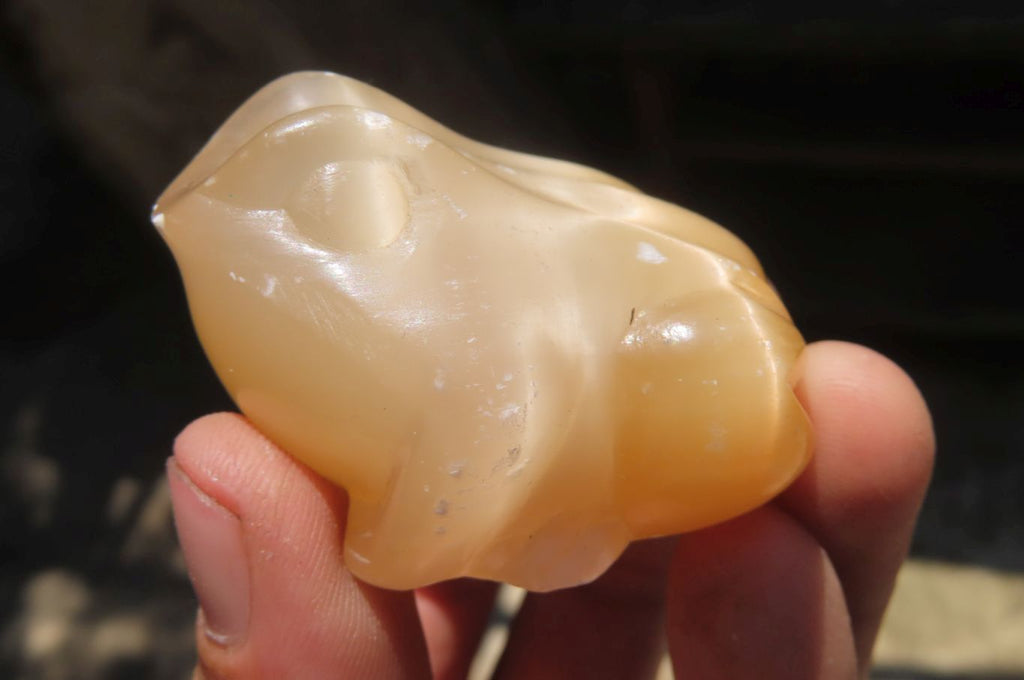 Polished Mixed Cats Eye Gemstone Animal Carvings x 6 From China - Toprock Gemstones and Minerals 