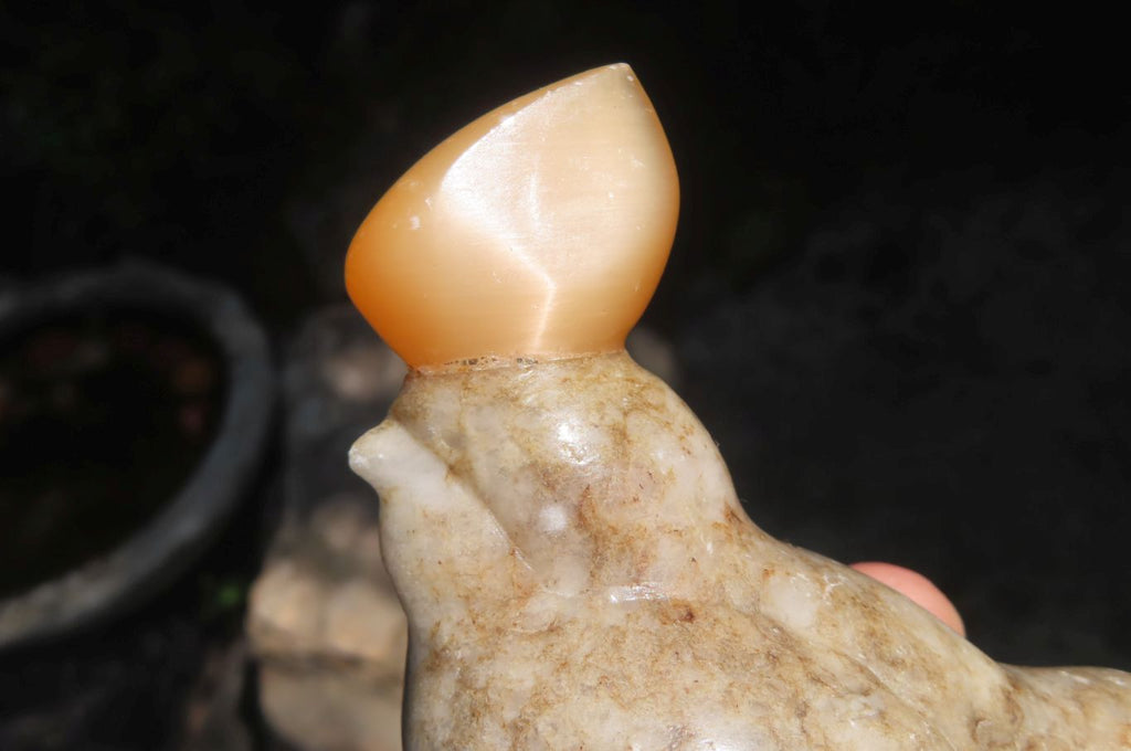 Polished Mixed Cats Eye Gemstone Animal Carvings x 6 From China - Toprock Gemstones and Minerals 