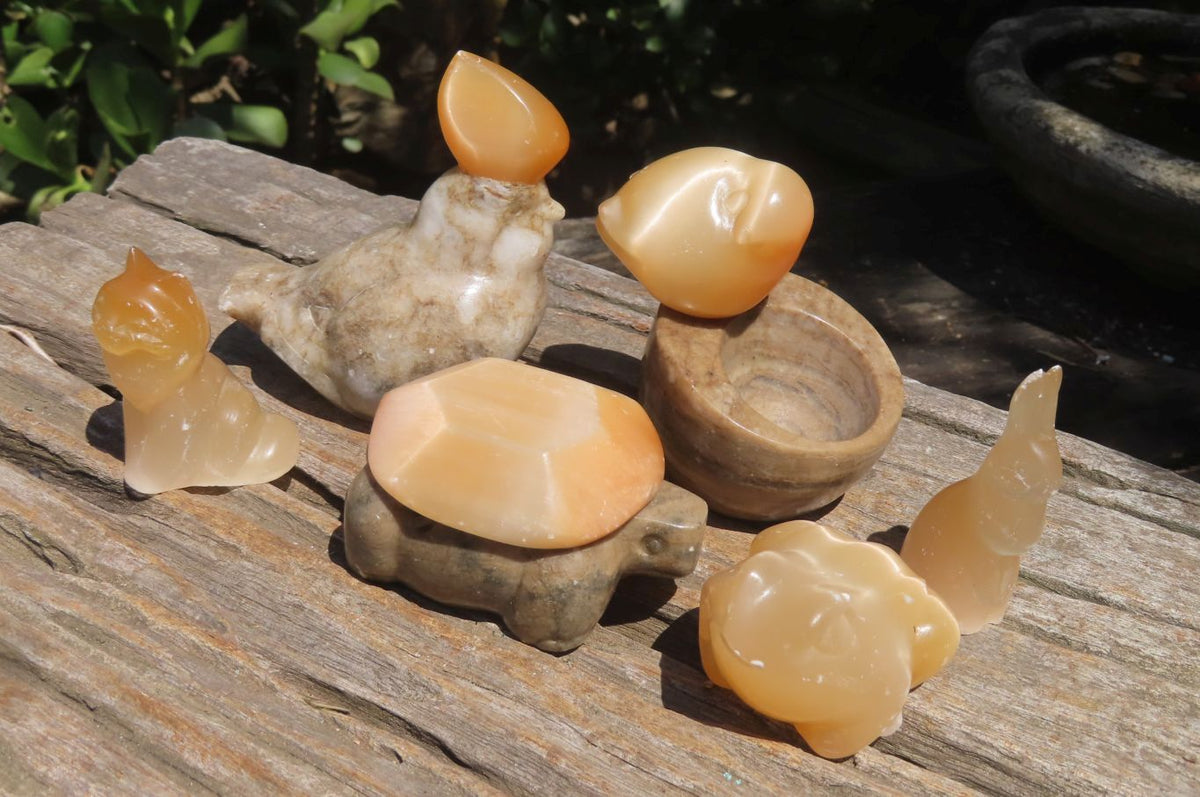 Polished Mixed Cats Eye Gemstone Animal Carvings x 6 From China - Toprock Gemstones and Minerals 