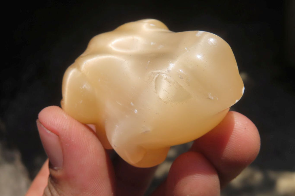 Polished Mixed Cats Eye Gemstone Animal Carvings x 6 From China - Toprock Gemstones and Minerals 