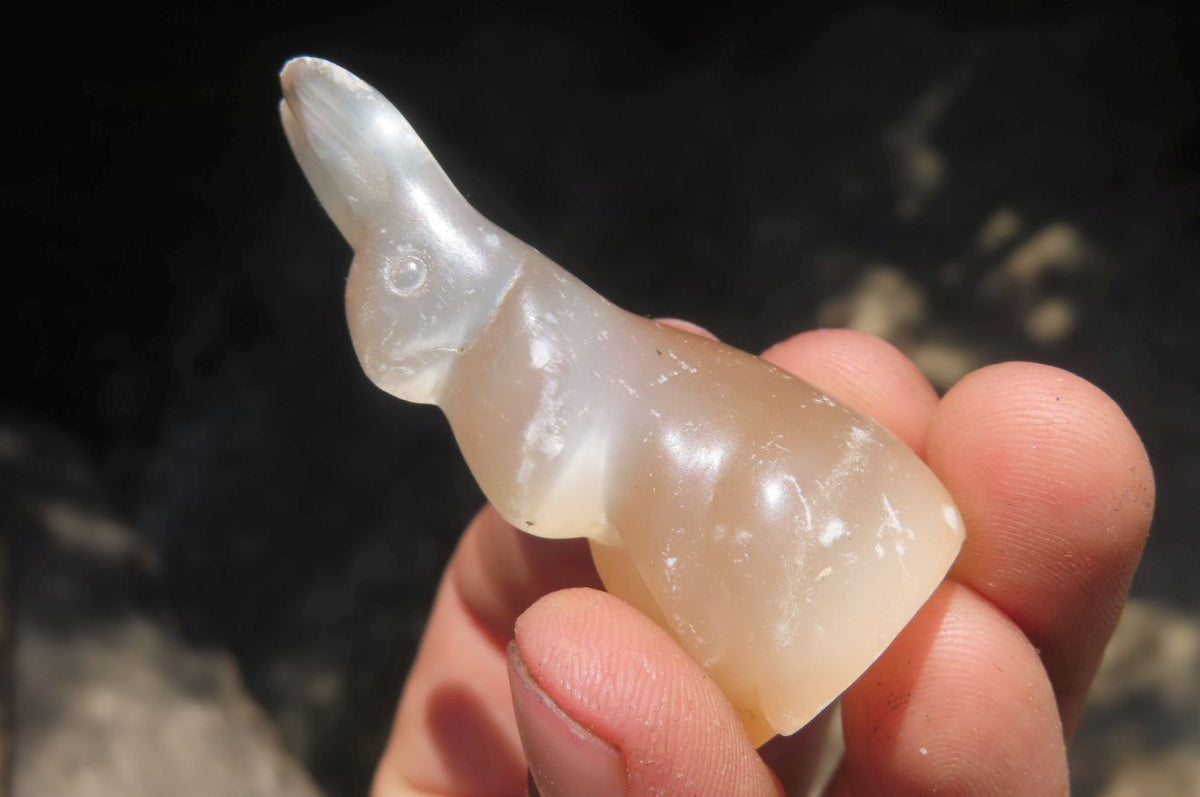 Polished Mixed Cats Eye Gemstone Animal Carvings x 6 From China - Toprock Gemstones and Minerals 