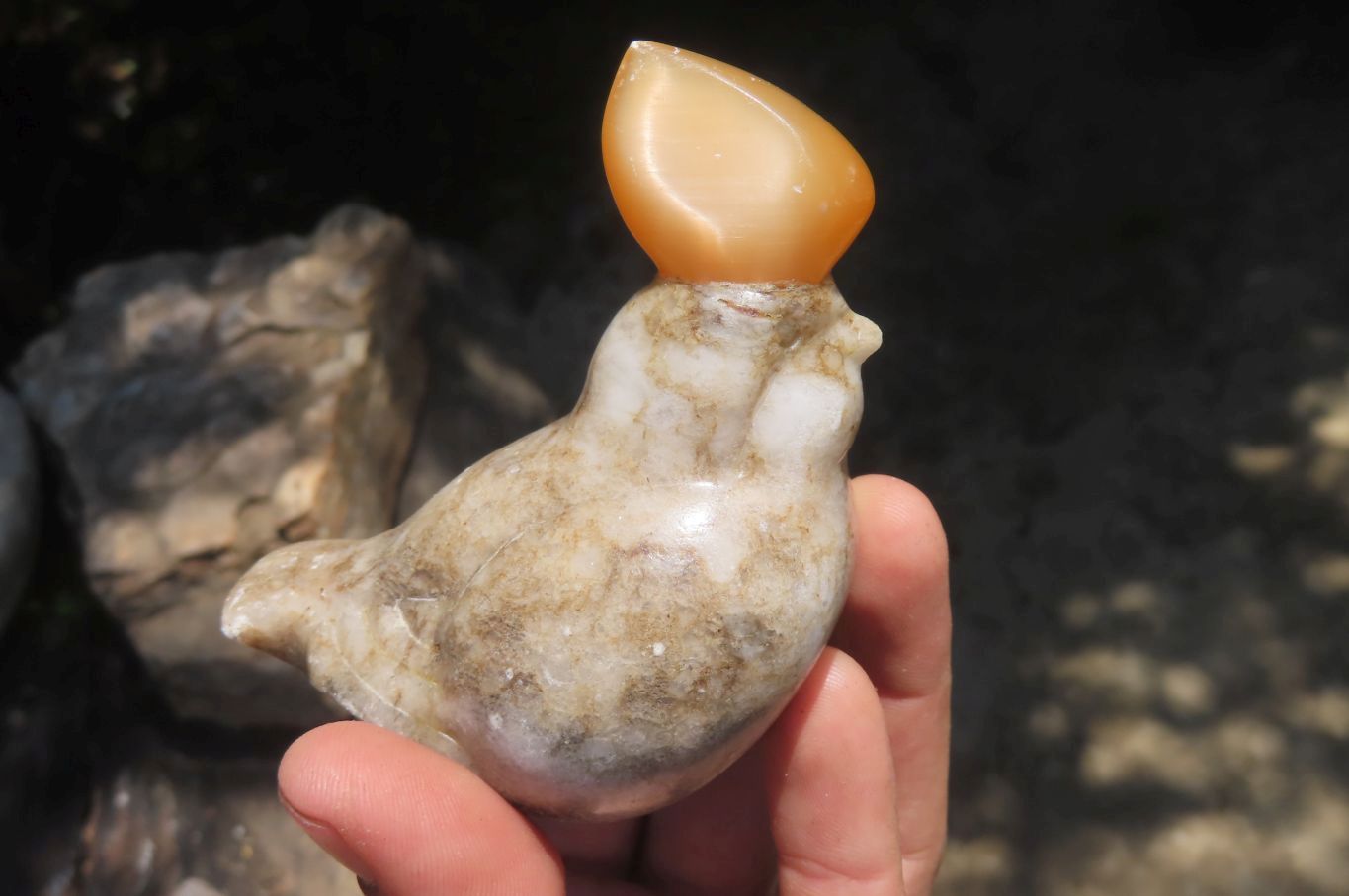 Polished Mixed Cats Eye Gemstone Animal Carvings x 6 From China - Toprock Gemstones and Minerals 