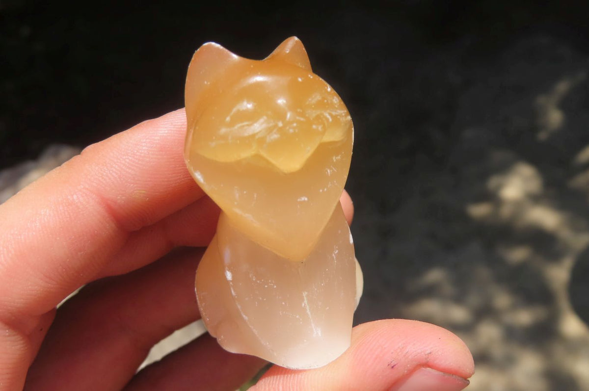 Polished Mixed Cats Eye Gemstone Animal Carvings x 6 From China - Toprock Gemstones and Minerals 