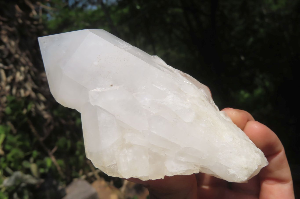 Natural Quartz Crystal Clusters x 5 From Madagascar - Toprock Gemstones and Minerals 