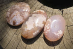 Polished Flower Agate Palm Stones x 12 From Madagascar - Toprock Gemstones and Minerals 