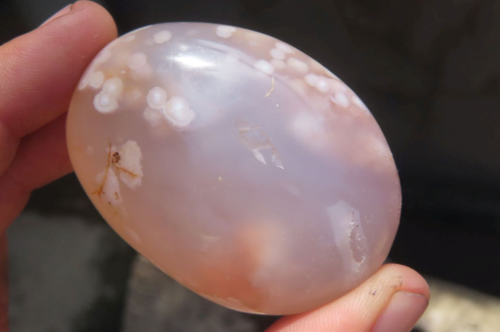 Polished Flower Agate Palm Stones x 12 From Madagascar - Toprock Gemstones and Minerals 