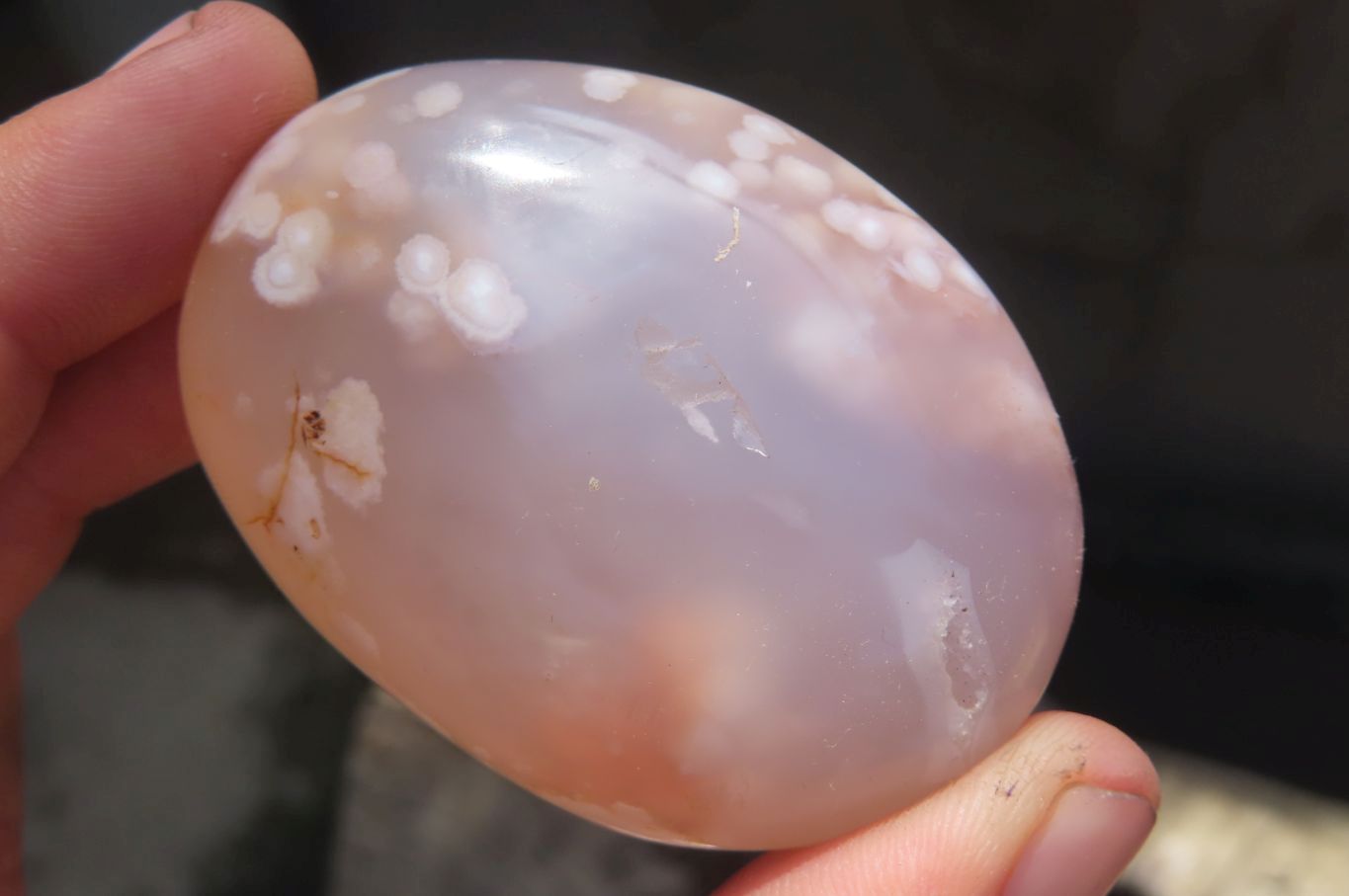 Polished Flower Agate Palm Stones x 12 From Madagascar - Toprock Gemstones and Minerals 