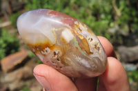 Polished Flower Agate Palm Stones x 12 From Madagascar - Toprock Gemstones and Minerals 