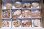 Polished Flower Agate Palm Stones x 12 From Madagascar - Toprock Gemstones and Minerals 
