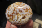 Polished Flower Agate Palm Stones x 12 From Madagascar - Toprock Gemstones and Minerals 