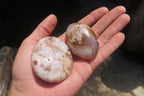 Polished Flower Agate Palm Stones x 12 From Madagascar - Toprock Gemstones and Minerals 