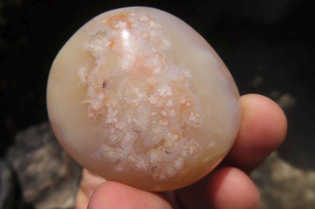 Polished Flower Agate Palm Stones x 12 From Madagascar - Toprock Gemstones and Minerals 