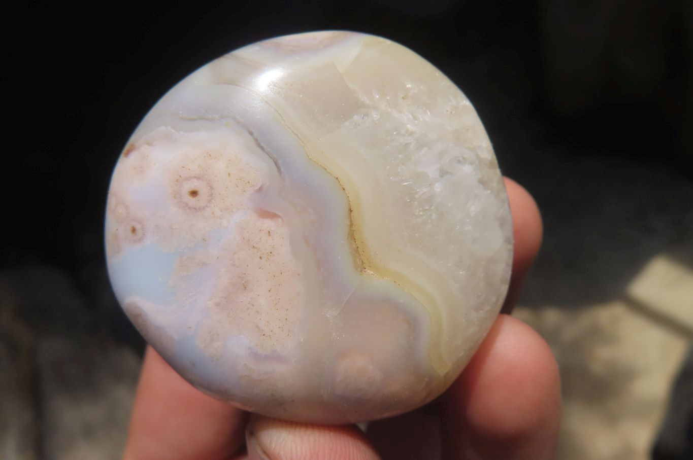 Polished Flower Agate Palm Stones x 12 From Madagascar - Toprock Gemstones and Minerals 