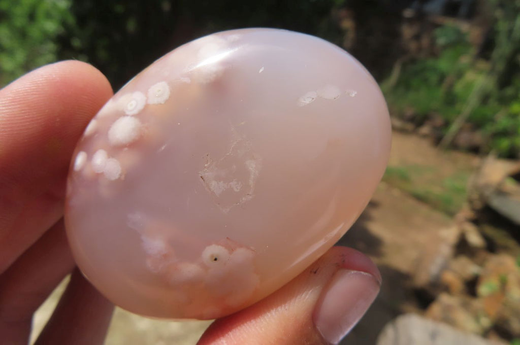 Polished Flower Agate Palm Stones x 12 From Madagascar - Toprock Gemstones and Minerals 