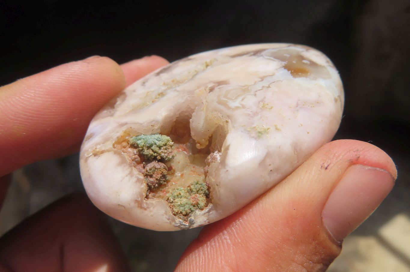 Polished Flower Agate Palm Stones x 12 From Madagascar - Toprock Gemstones and Minerals 