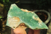 Polished On One Side Emerald Mtorolite x 6 From Mutorashanga, Zimbabwe - Toprock Gemstones and Minerals 
