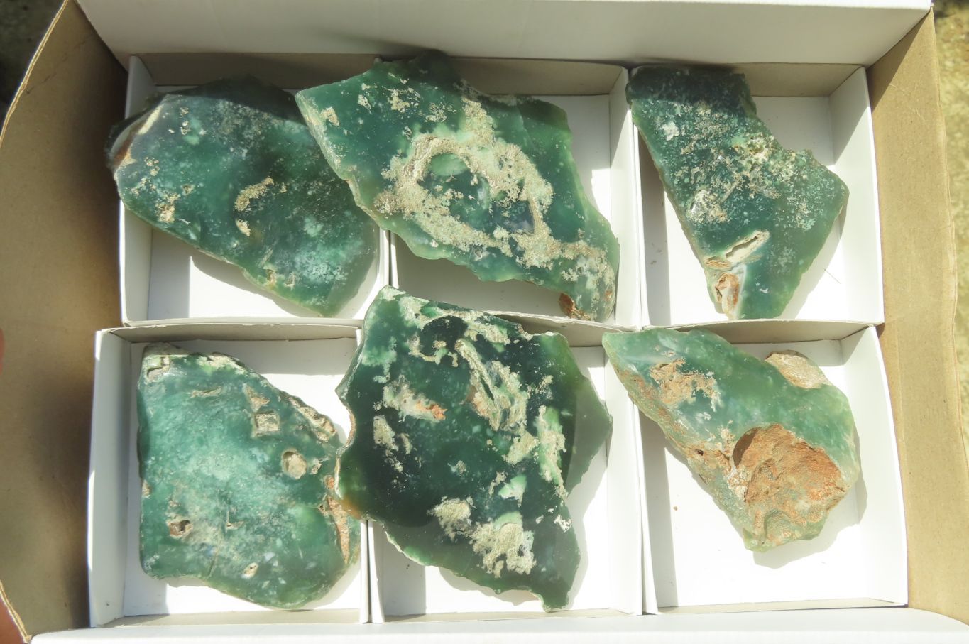 Polished On One Side Emerald Mtorolite x 6 From Mutorashanga, Zimbabwe - Toprock Gemstones and Minerals 