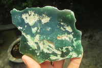 Polished On One Side Emerald Mtorolite x 6 From Mutorashanga, Zimbabwe - Toprock Gemstones and Minerals 