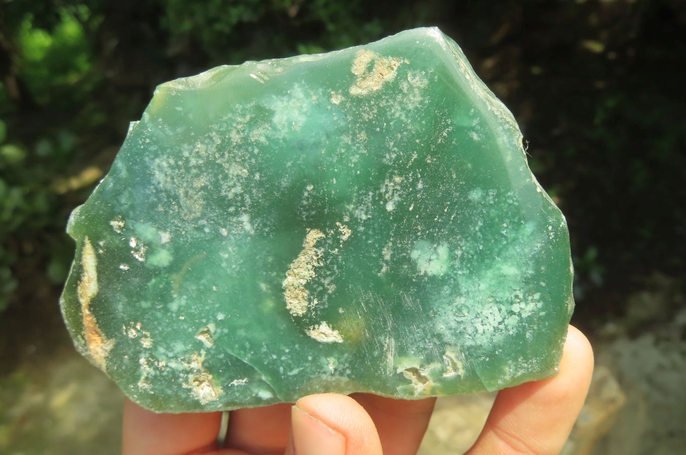 Polished On One Side Emerald Mtorolite x 6 From Mutorashanga, Zimbabwe - Toprock Gemstones and Minerals 