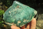 Polished On One Side Emerald Mtorolite x 6 From Mutorashanga, Zimbabwe - Toprock Gemstones and Minerals 