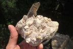 Natural Aegirine & Smokey Quartz Specimens x 2 From Malawi - Toprock Gemstones and Minerals 