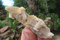 Natural Fairy Spirit Quartz Clusters x 13 From Boekenhouthoek, South Africa - Toprock Gemstones and Minerals 