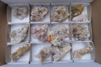 Natural Fairy Spirit Quartz Clusters x 13 From Boekenhouthoek, South Africa - Toprock Gemstones and Minerals 