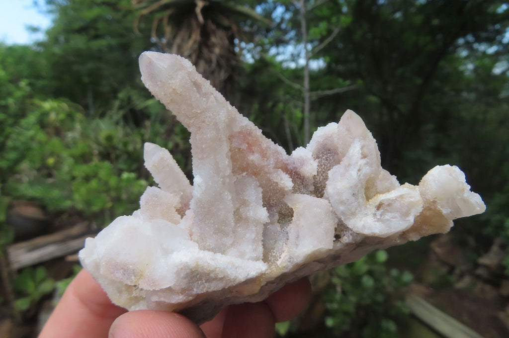 Natural Fairy Spirit Quartz Clusters x 13 From Boekenhouthoek, South Africa - Toprock Gemstones and Minerals 