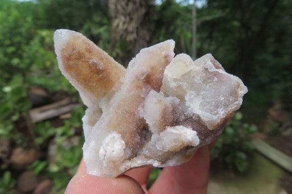 Natural Fairy Spirit Quartz Clusters x 13 From Boekenhouthoek, South Africa - Toprock Gemstones and Minerals 