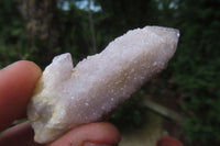 Natural Fairy Spirit Quartz Clusters x 13 From Boekenhouthoek, South Africa - Toprock Gemstones and Minerals 