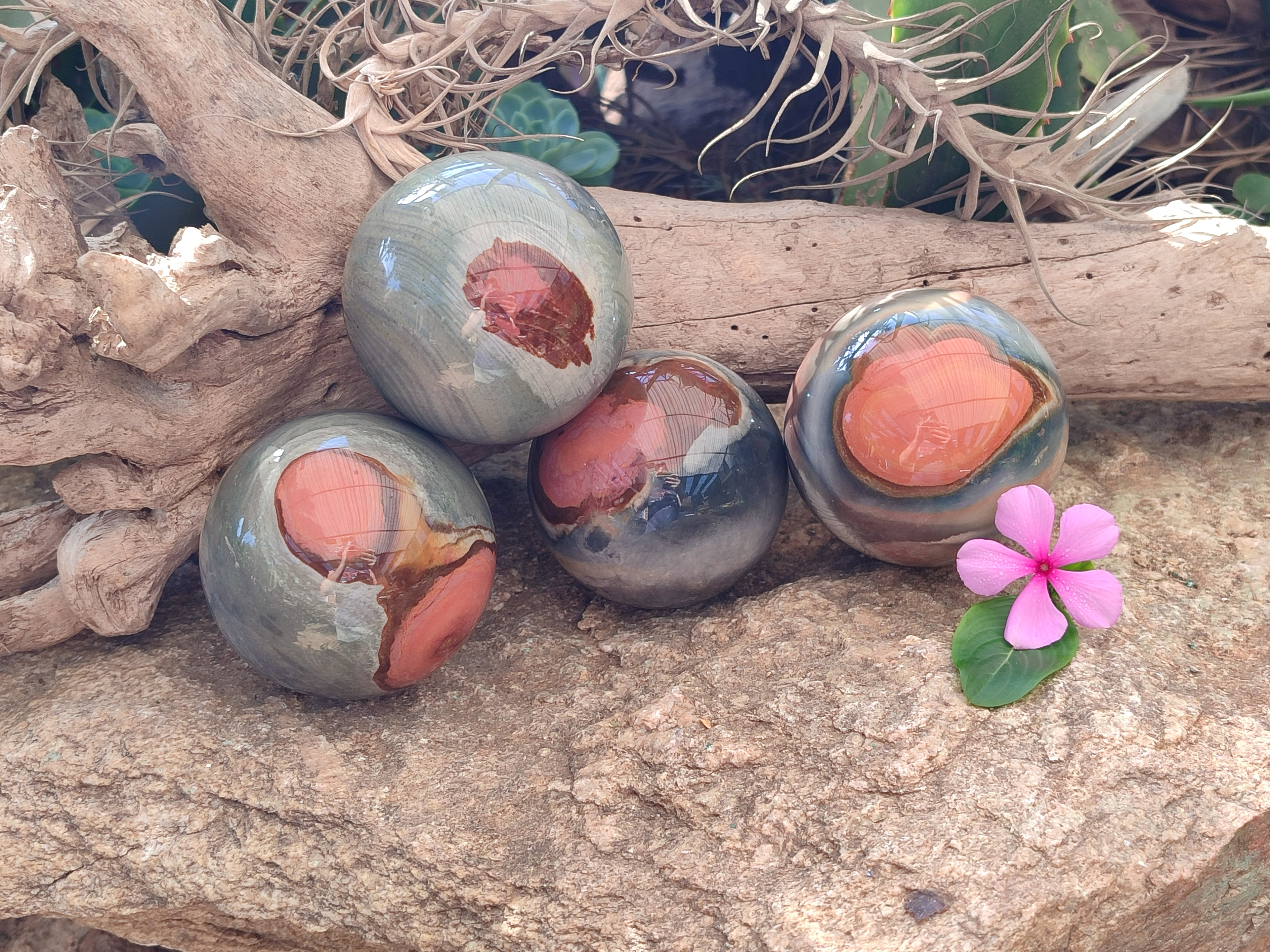 Polished Polychrome Jasper Spheres x 4 From Mahajanga, Madagascar - Toprock Gemstones and Minerals 