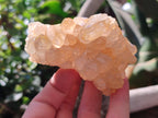 Natural Limonite Quartz Clusters x 6 From Solwezi, Zambia - Toprock Gemstones and Minerals 
