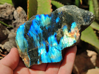 Polished On One Side Labradorite x 6 From Tulear, Madagascar - Toprock Gemstones and Minerals 